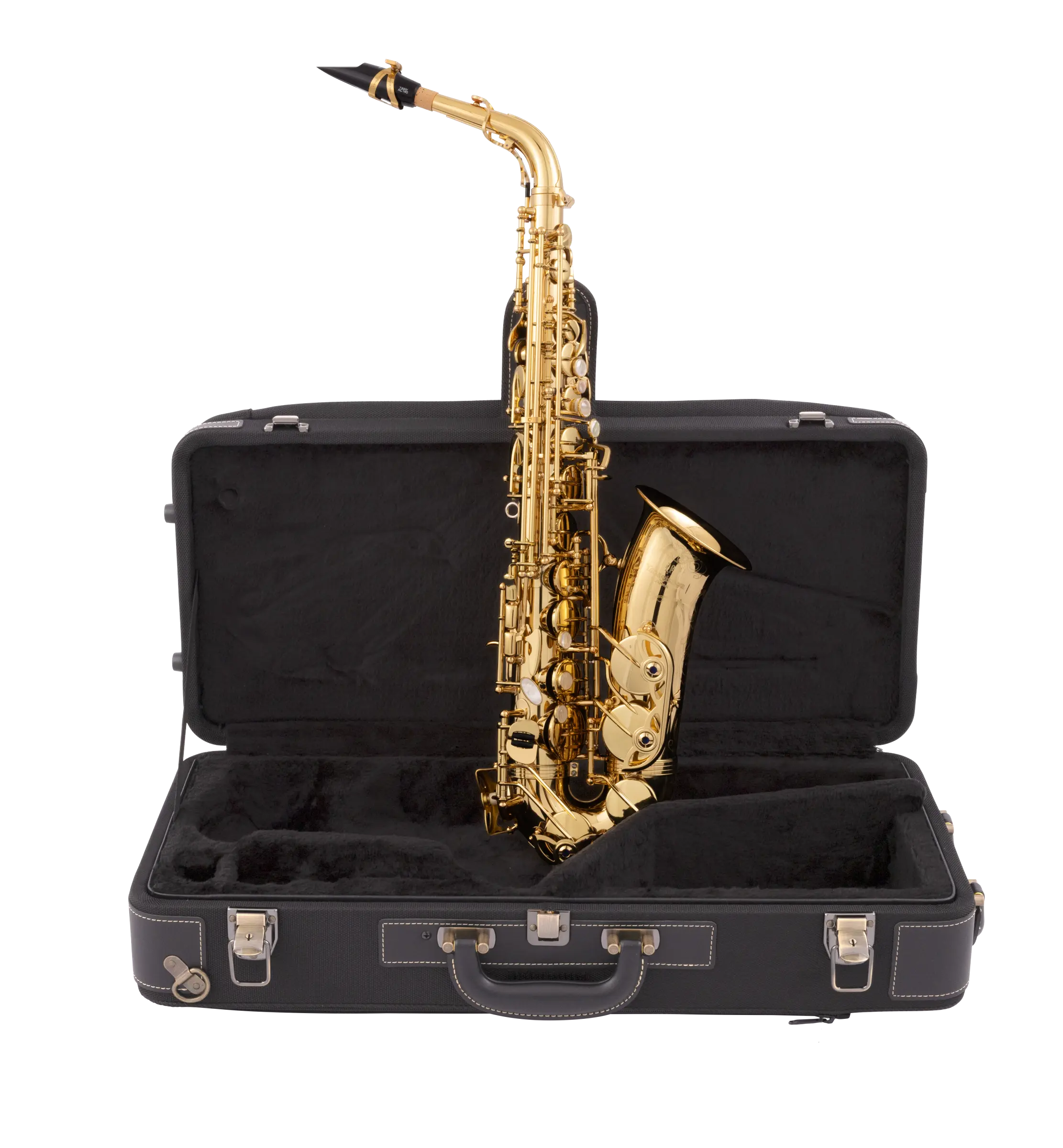 AW010 Yanagisawa Professional Alto Saxophone - zoomed in