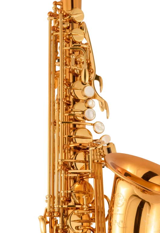 92DL HSP Professional Standard Alto Saxophone In Fr Vr Ms