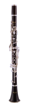 Bb Wood Clarinet Outfit SCL511S