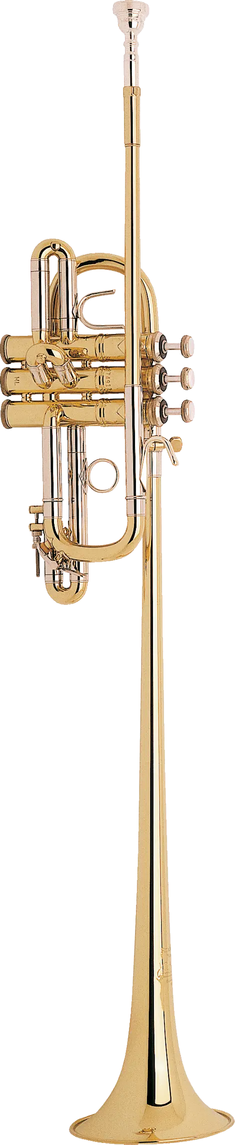 B185 Bach Triumphal Trumpet - zoomed in