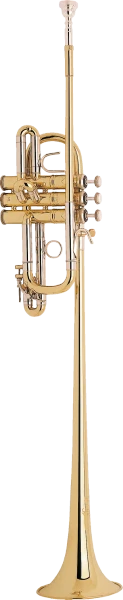 Bach Stradivarius Herald Trumpet in Bb B185