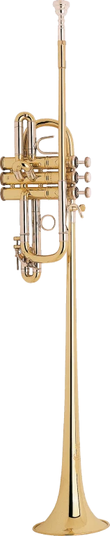 B185 Bach Triumphal Trumpet