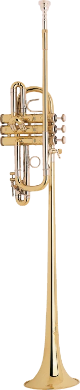 B185 Bach Triumphal Trumpet