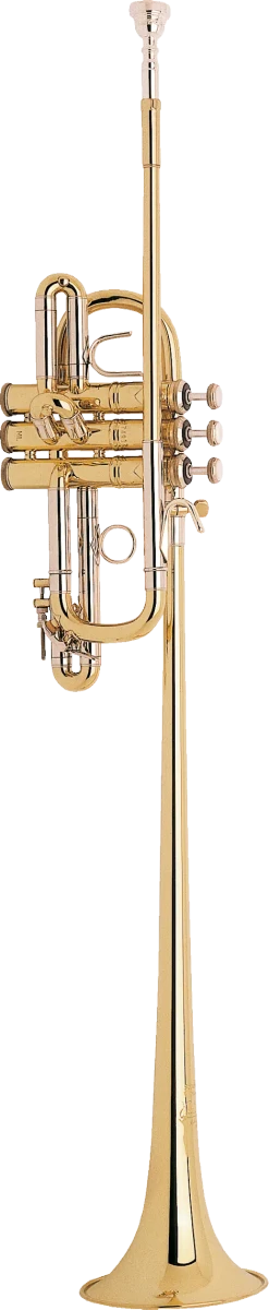 Bach Stradivarius Herald Trumpet in Bb B185