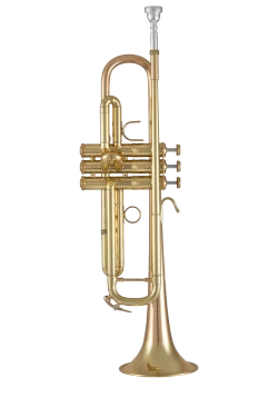 Bach Trumpet in Bb 17043GY