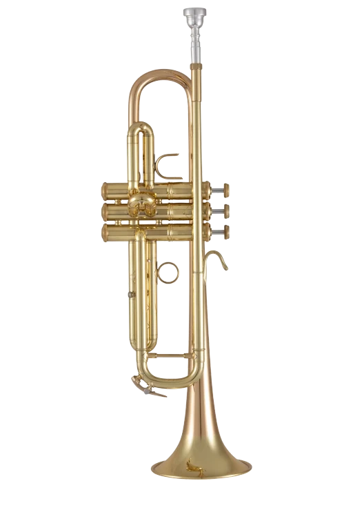 17043GY Bach Standard Professional BflatTrumpet