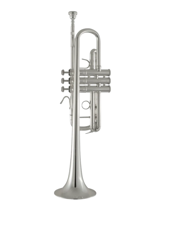 Bach Stradivarius Trumpet in C C180SL229W30 with #25H Bach Stradivarius Trumpet in C C180SL229W30 with #25H