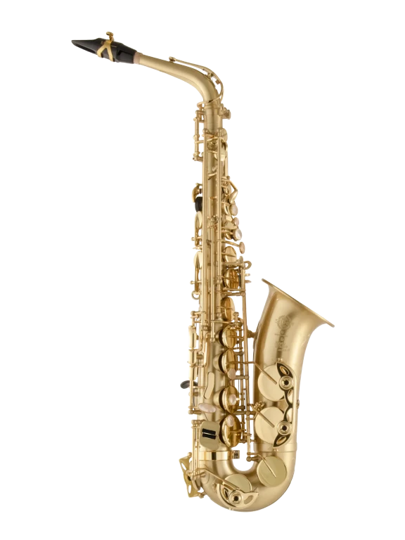 52JM HSP Professional Matte Alto Saxophone In Fr Vr Fs