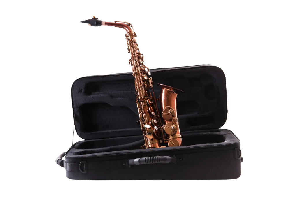 LAS711DL Alto Saxophone