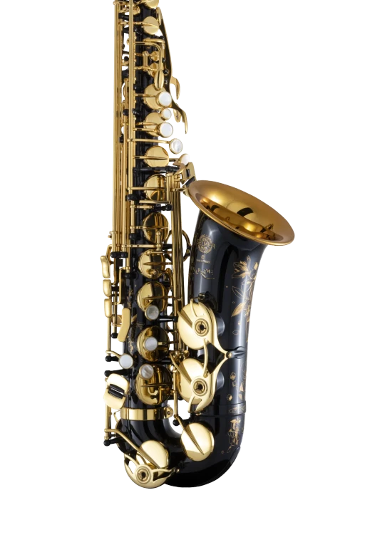 92BL HSP Professional Black Alto Saxophone In Sd Vr Ls