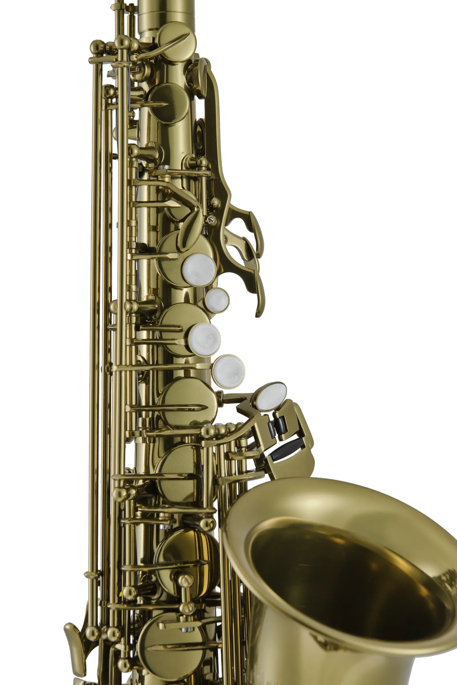 LAS411 Leblanc Student Alto Saxophone - zoomed in