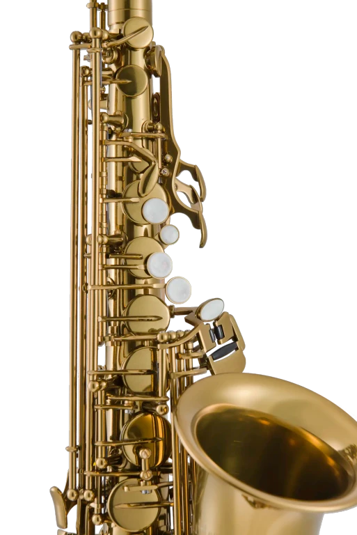 LAS411 Leblanc Student Alto Saxophone