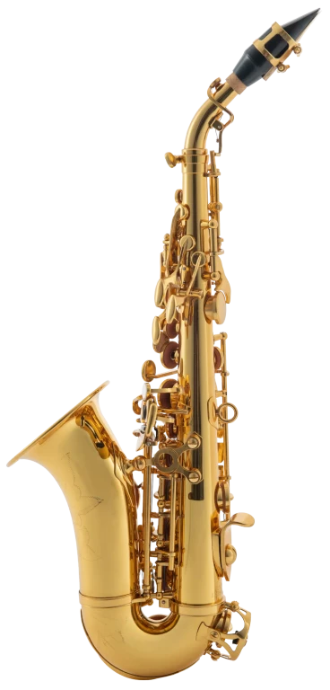 LSC311 Leblanc Beginner Curved Soprano Saxophone Left Profile
