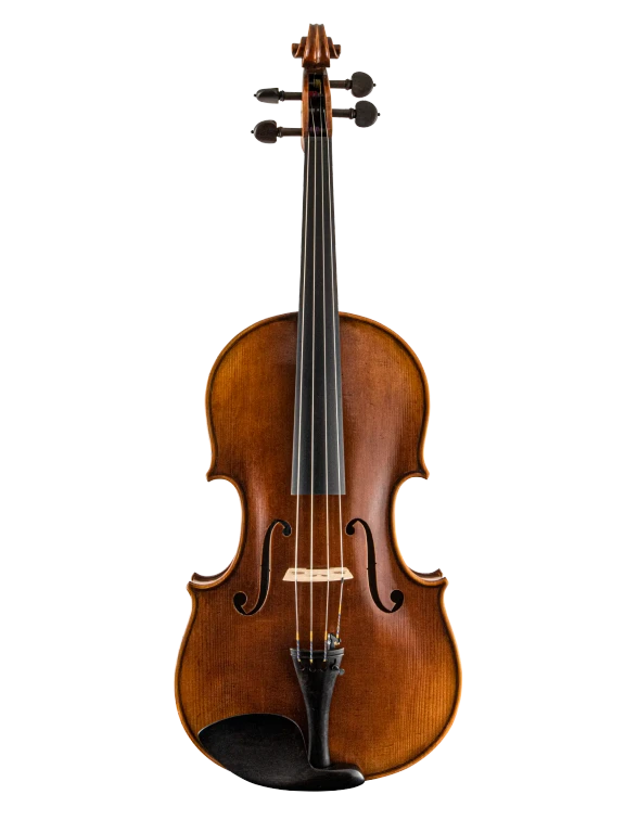 SR82E16H S&R Standard Advanced Viola In Fr Vr Fs