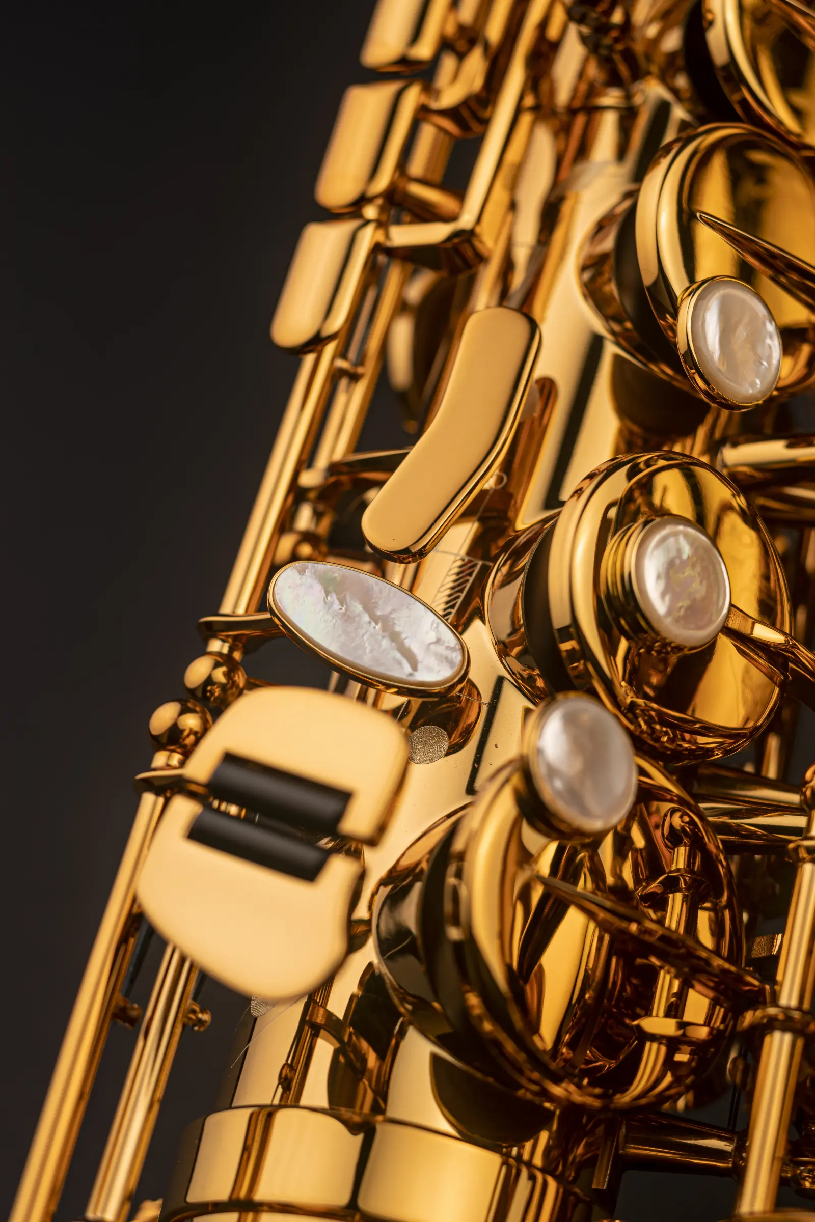 82SIG Selmer Professional Alto Saxophone ArtShot - zoomed in