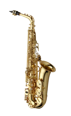 Yanagisawa Professional Alto Saxophone in Eb AWO1