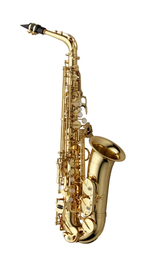 Yanagisawa Professional Alto Saxophone in Eb AWO1