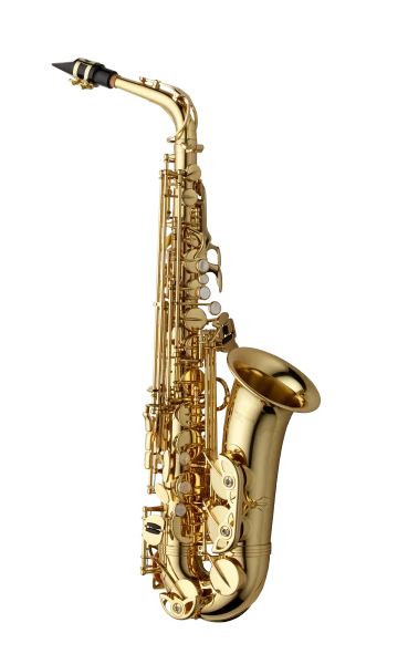 Yanagisawa Professional Alto Saxophone in Eb AWO1