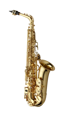 Yanagisawa Professional Alto Saxophone in Eb AWO1