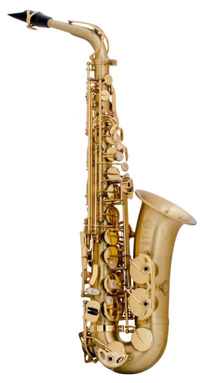 52JM HSP Professional Matte Alto Saxophone