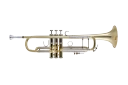 Bach Stradivarius Trumpet in Bb 19037