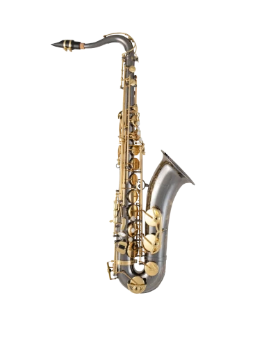 Selmer Tenor Saxophone in Bb STS511