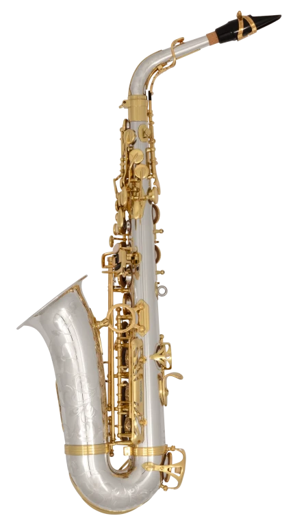 AW037 Yanagisawa Professional Alto Saxophone