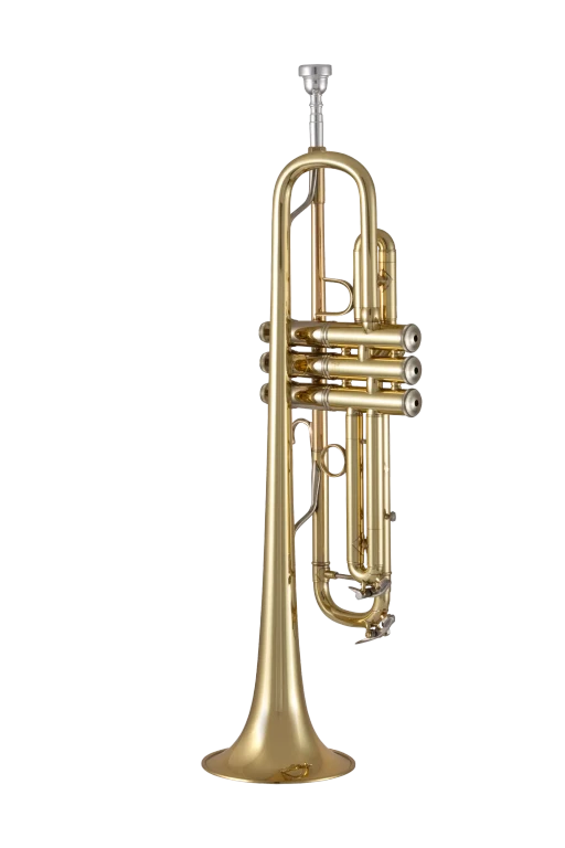 19072X Bach Standard Professional BflatTrumpet