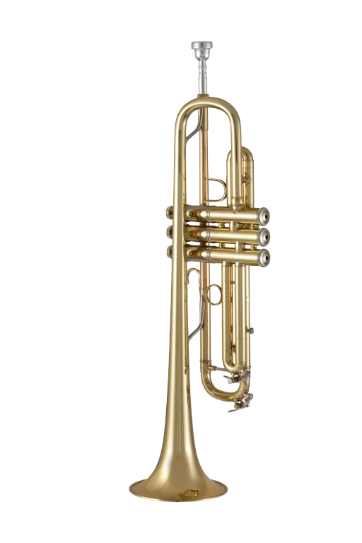 19072X Bach Standard Professional BflatTrumpet