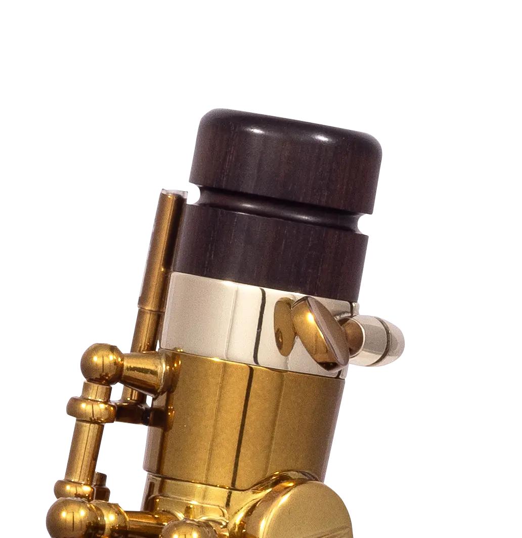 82SIGUSA1 HSP Professional  Alto - zoomed in