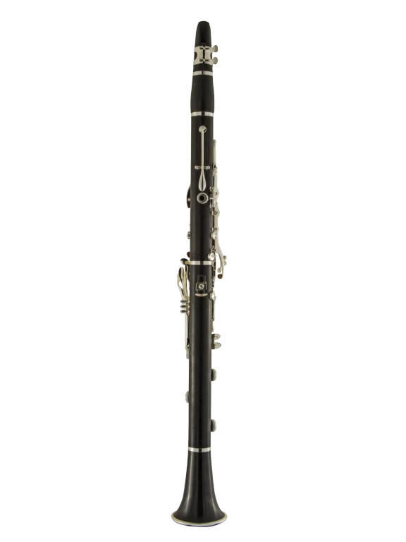 A1610REV HSP Professional Standard Clarinet In Bk Vr Fs