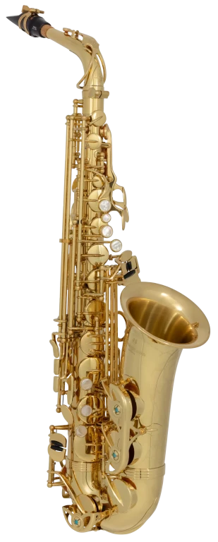 AW01 Yanagisawa Professional Alto Saxophone