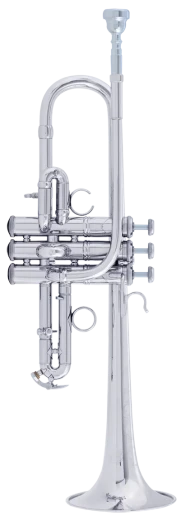 Bach Artisan Trumpet in D/Eb ADE190S