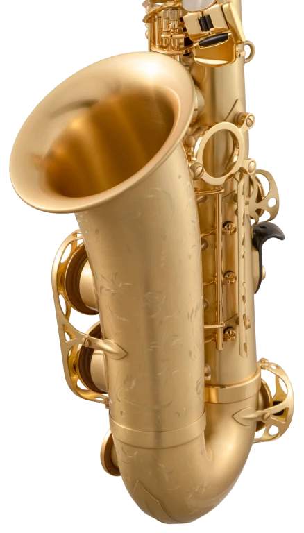 52JM HSP Professional Matte Alto Saxophone