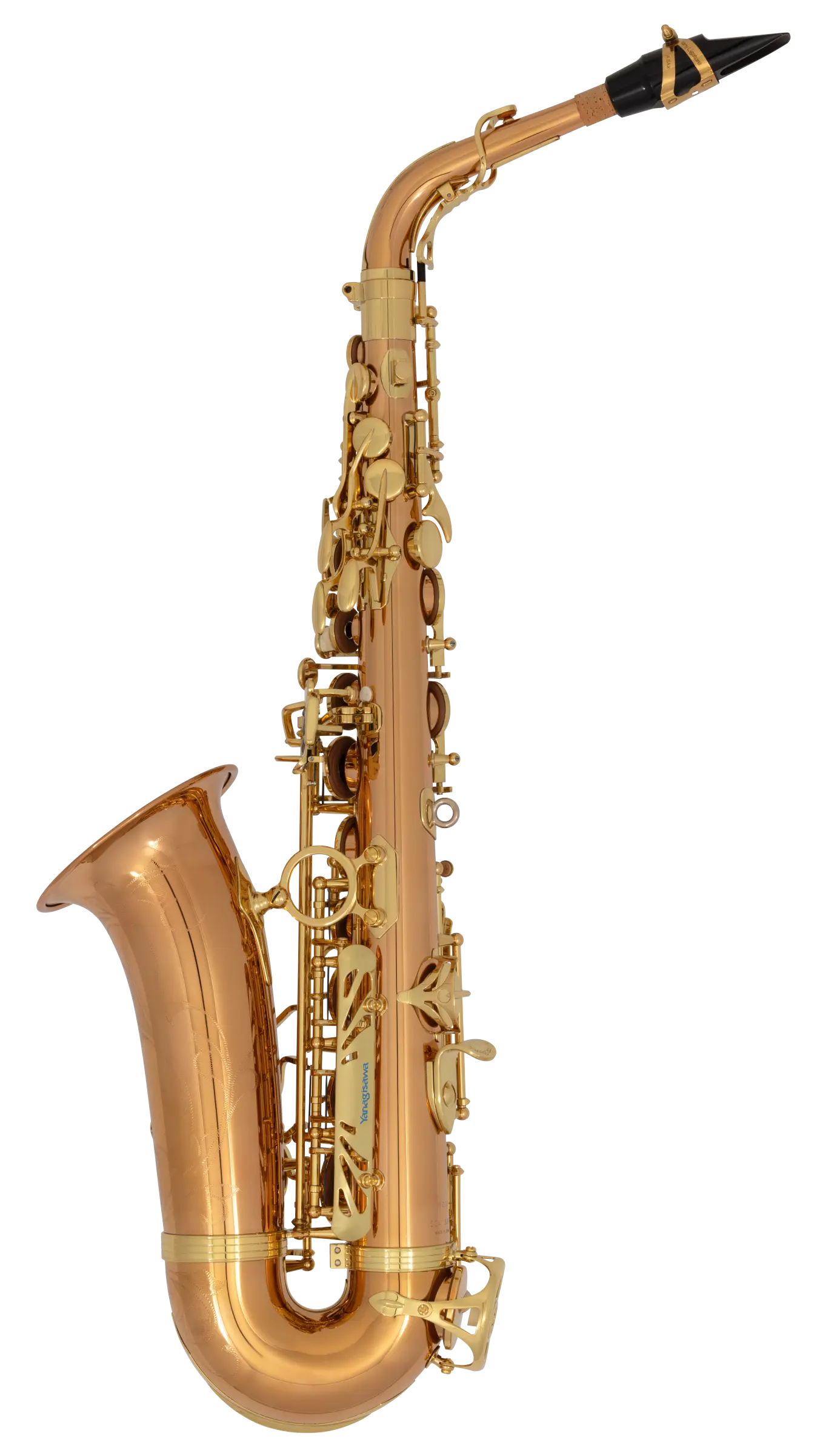 AW020 Yanagisawa Professional Alto Saxophone - zoomed in