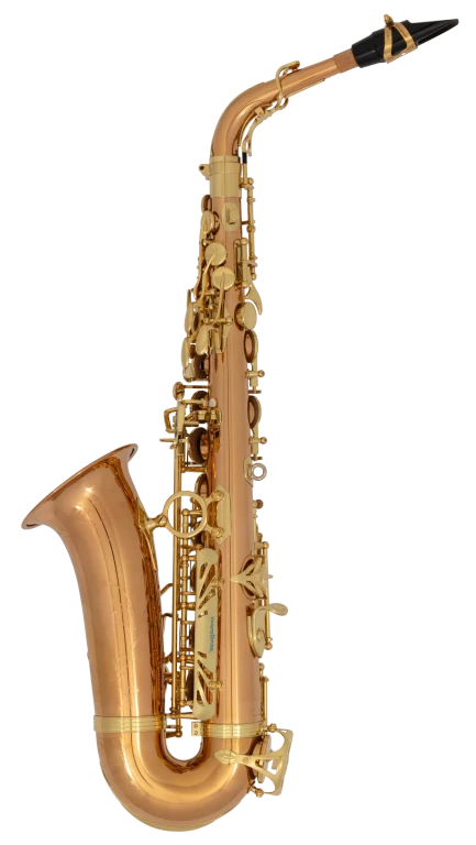 AW020 Yanagisawa Professional Alto Saxophone