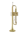 Bach Trumpet in Bb BTR311