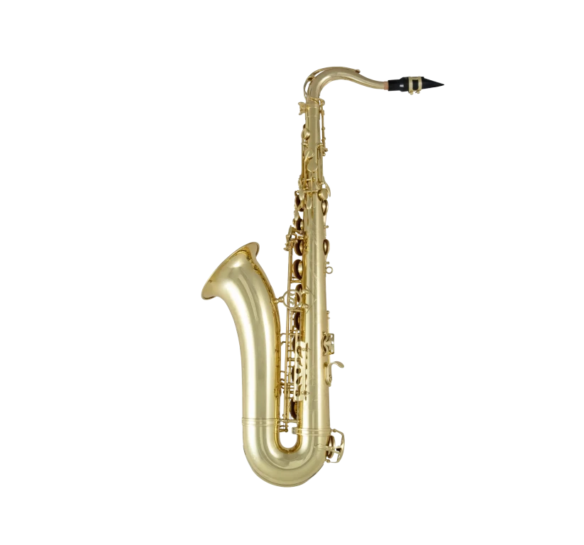 STS711 Selmer Standard Tenor Saxophone In Bk Vr Fs