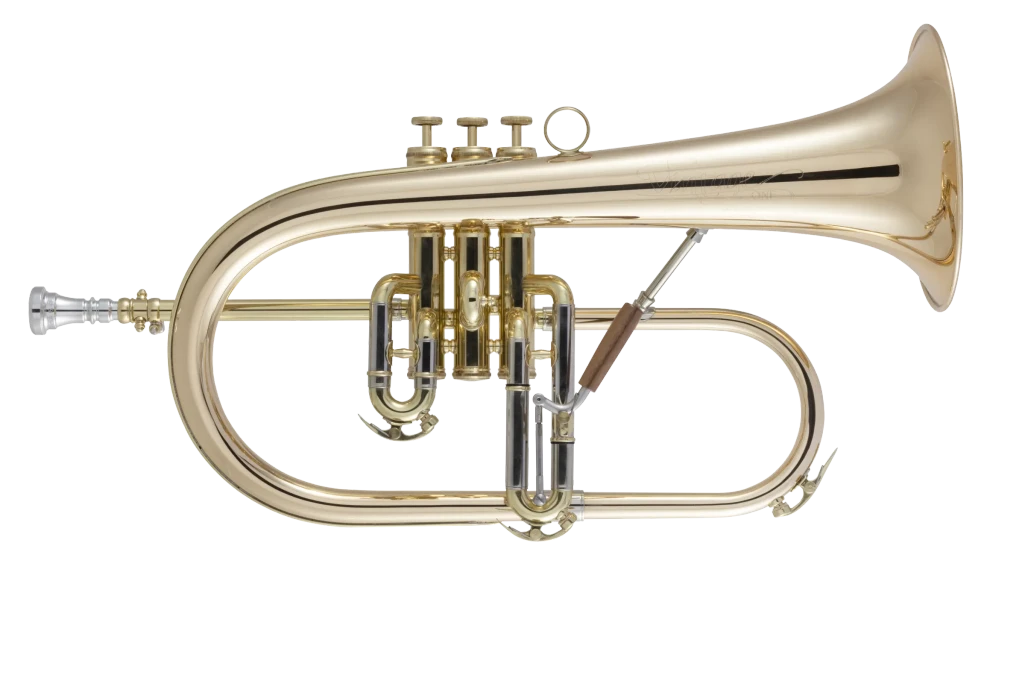 1FG Conn Professional Flugel Horn