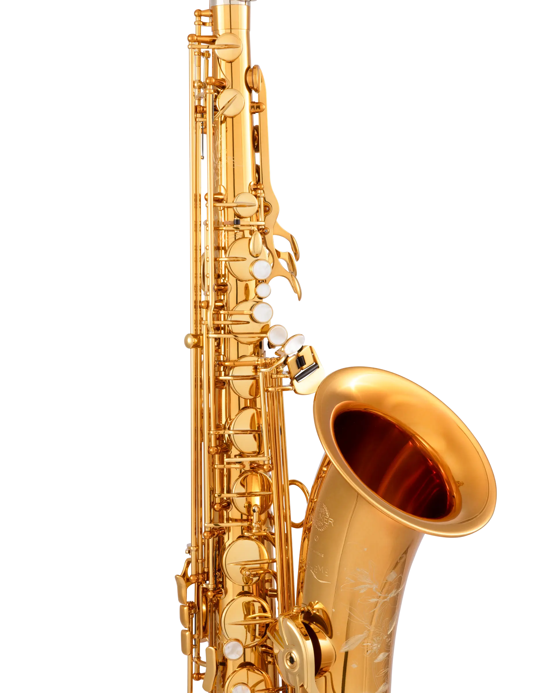 94DL HSP Professional Tenor Sax - zoomed in