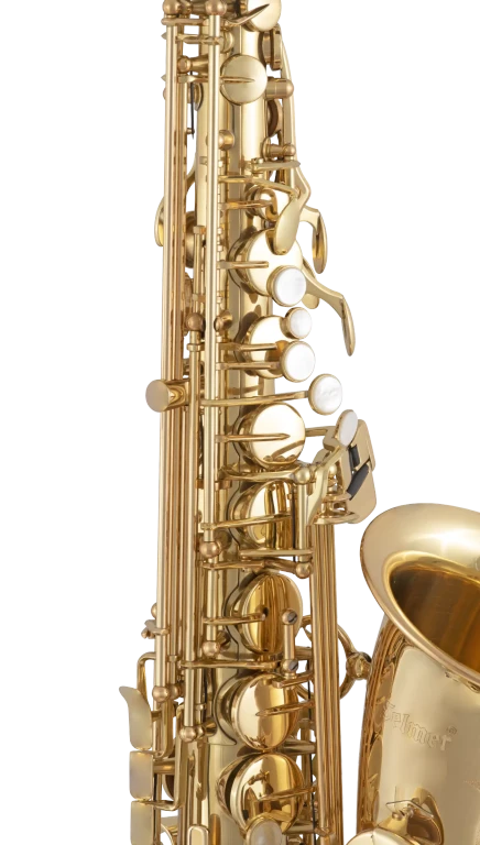 Selmer Alto Saxophone in Eb SAS511 | Conn Selmer Selmer Alto Saxophone in Eb SAS511 | Conn Selmer