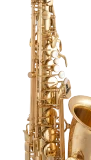 Selmer Alto Saxophone in Eb SAS511