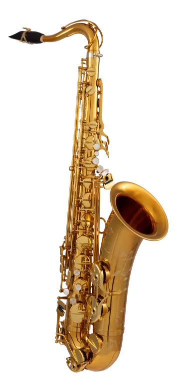 94DL HSP Professional Tenor Sax