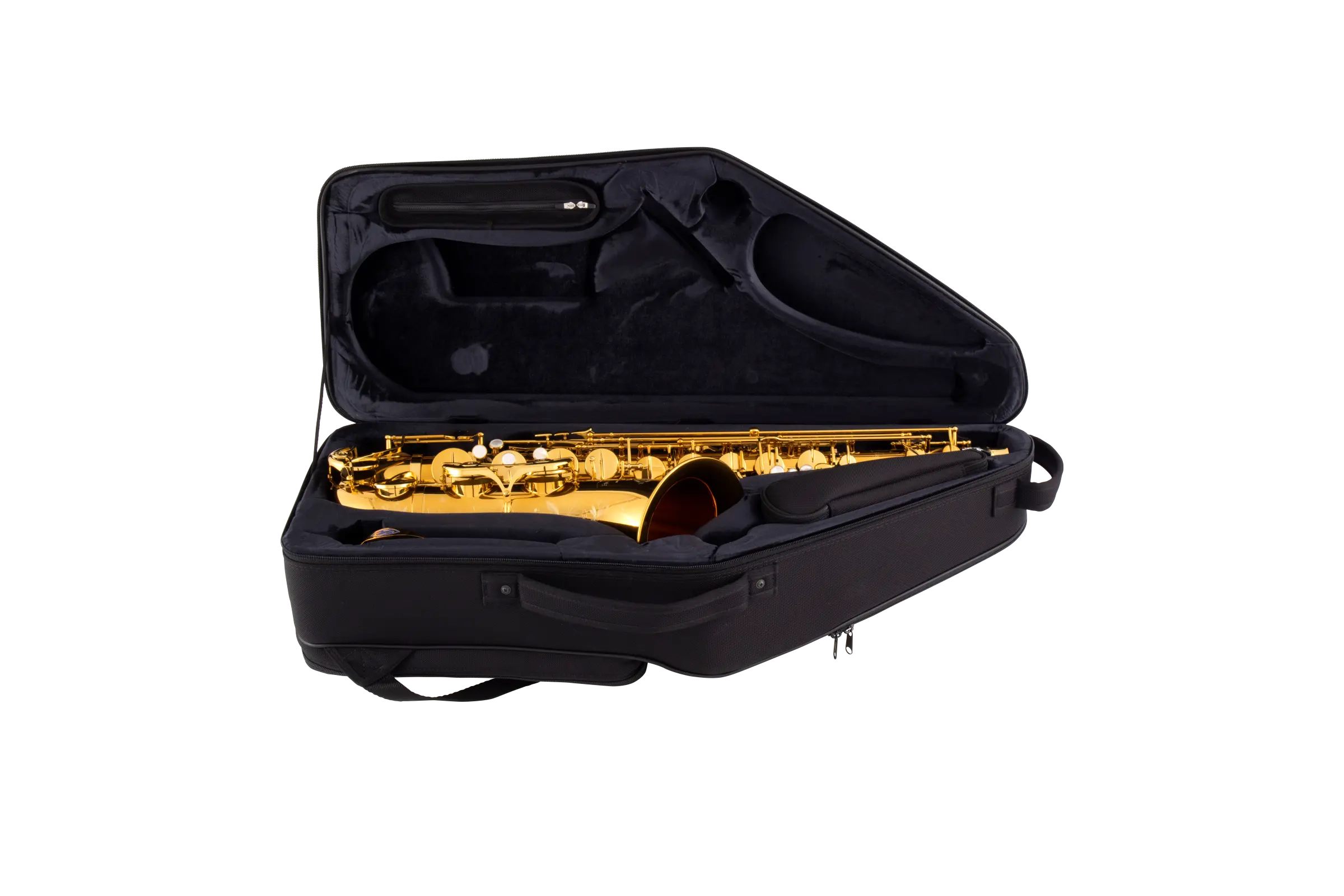 94DL HSP Professional Tenor Sax - zoomed in