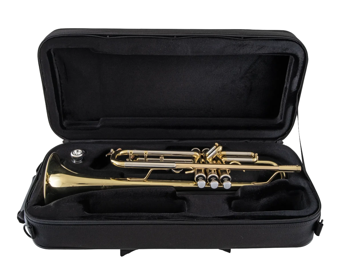 Bach Trumpet in Bb BTR311