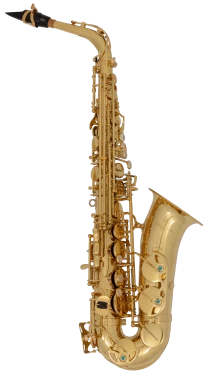 Yanagisawa Professional Alto Saxophone in Eb AW01