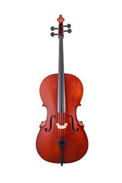 Scherl & Roth Cello SR43 Laminated