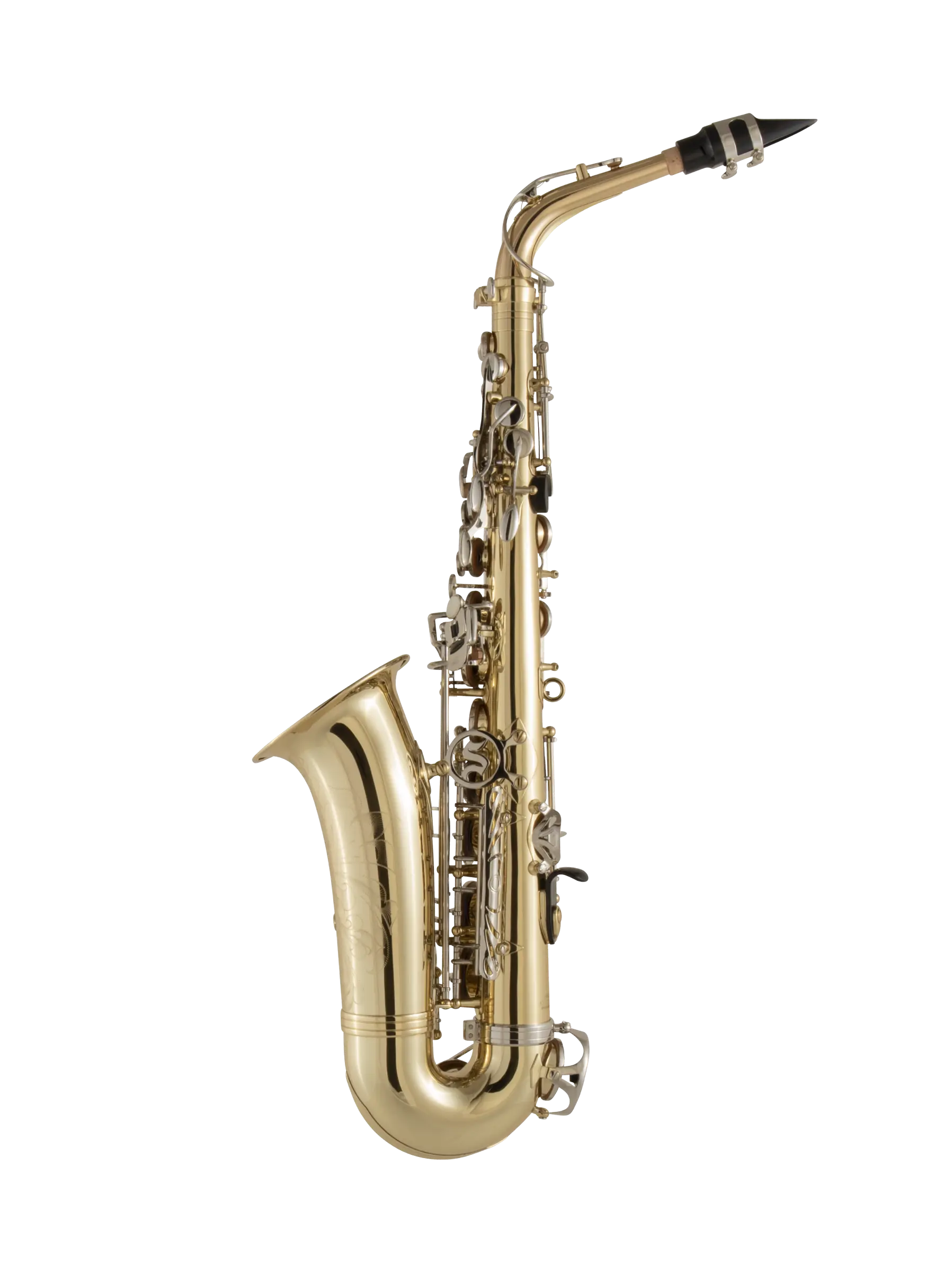 SAS301 Selmer Student Alto Saxophone In Bk Vr Fs - zoomed in