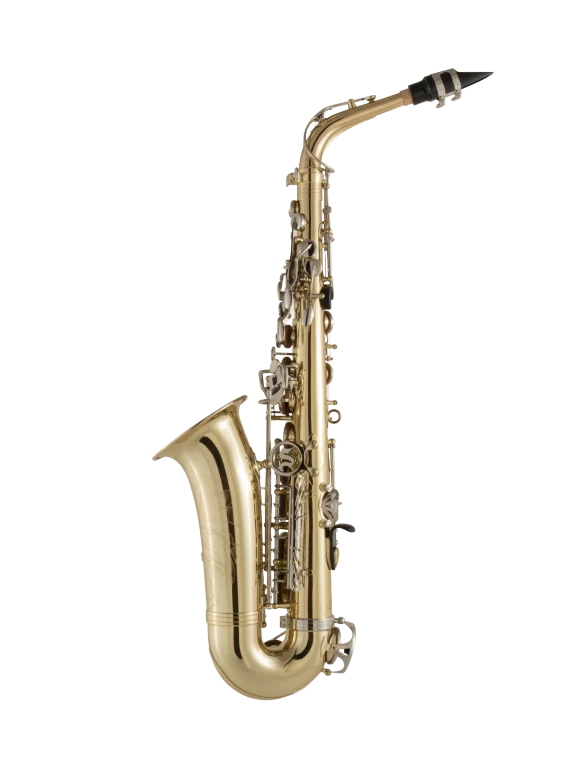 SAS301 Selmer Student Alto Saxophone In Bk Vr Fs