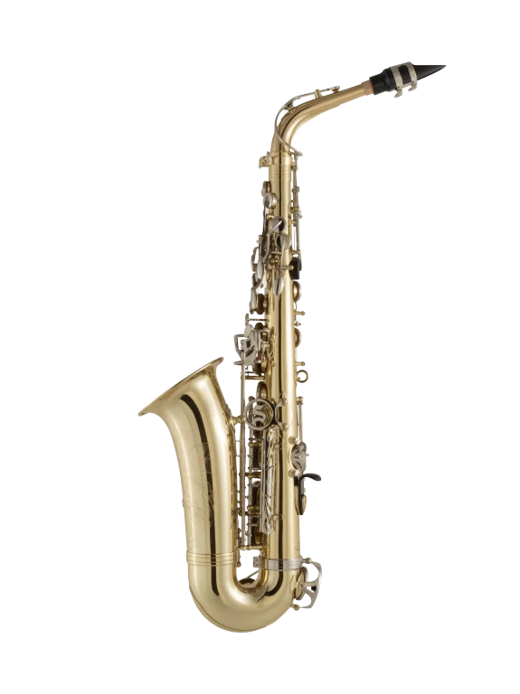 SAS301 Selmer Student Alto Saxophone In Bk Vr Fs